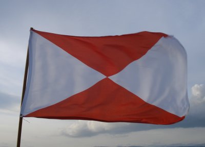 Bandeira de Vigo, Comarca de Vigo